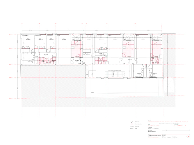 Proyecto de Construcción - Carolina Hernández Olmos