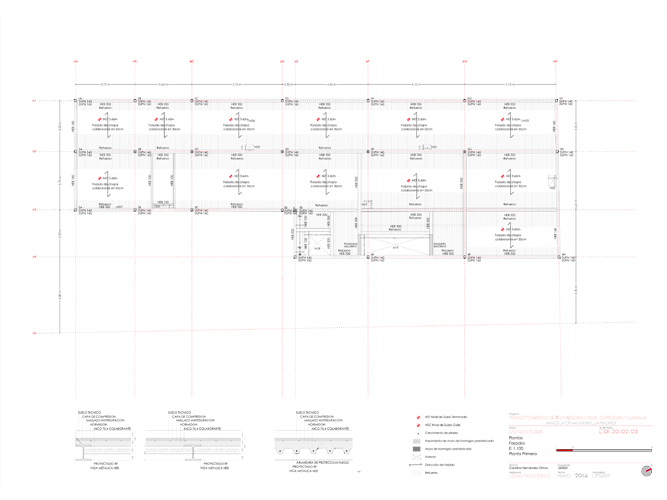 Proyecto de Construcción - Carolina Hernández Olmos