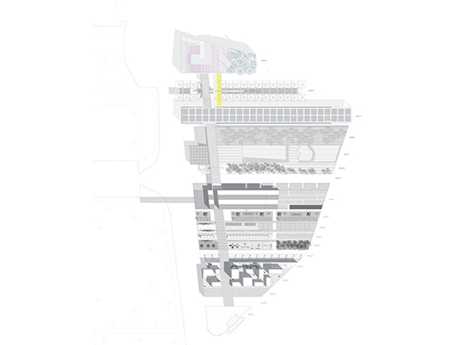 Isla de la Energía - Carolina Hernández Olmos