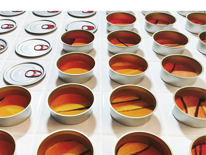 Proyecto Fin de Carrera: Do it your-self city - Carolina Hernández Olmos