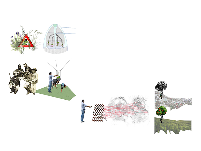 Semillero Atmosférico - Carolina Hernández Olmos