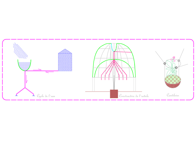Semillero Atmosférico - Carolina Hernández Olmos