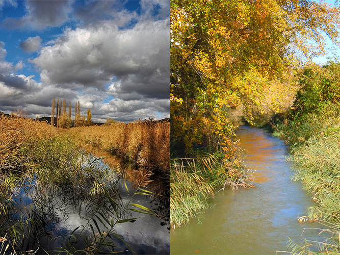 Análisis del territorio en el Valle del Tajuña - Carolina Hernández Olmos