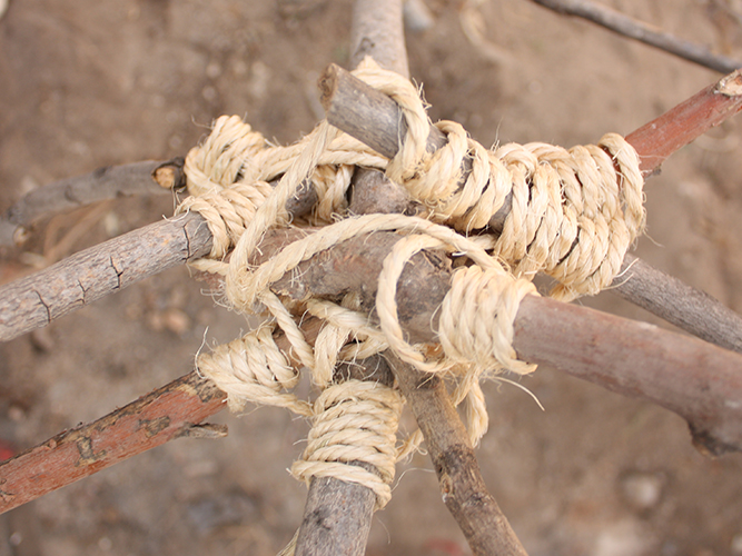 Tienda de Prada - Carolina Hernández Olmos