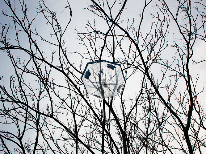 Tienda de Prada - Carolina Hernández Olmos