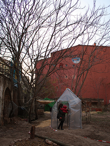 Tienda de Prada - Carolina Hernández Olmos