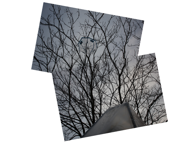 Tienda de Prada - Carolina Hernández Olmos