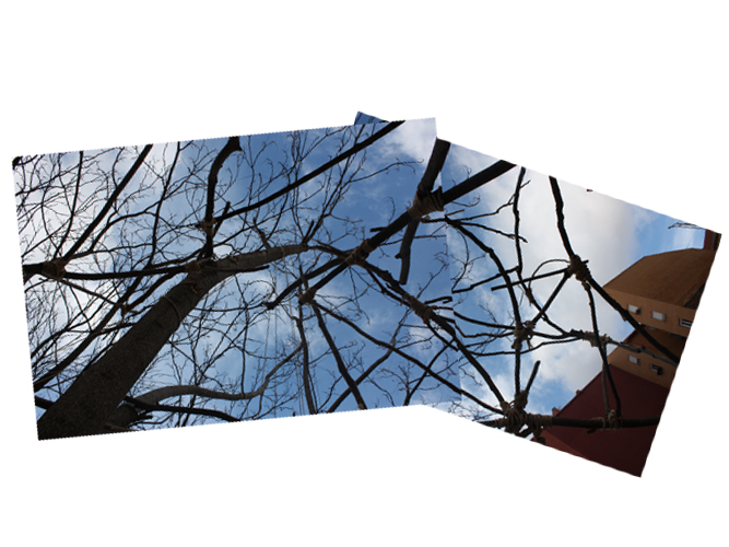 Tienda de Prada - Carolina Hernández Olmos