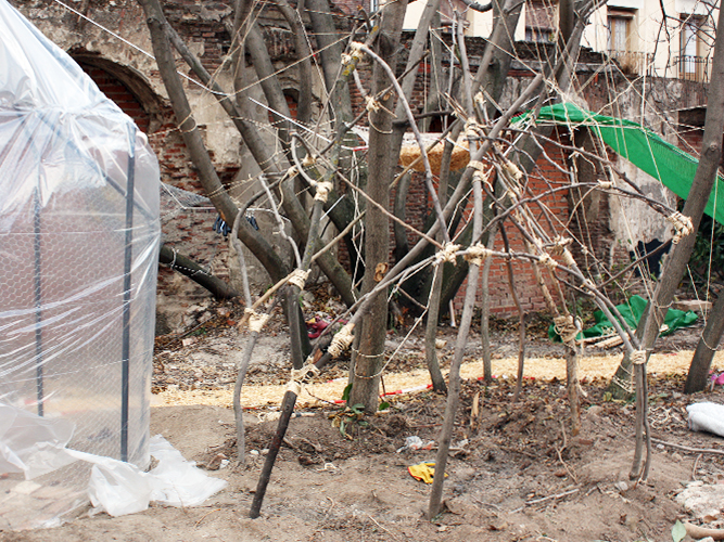 Tienda de Prada - Carolina Hernández Olmos