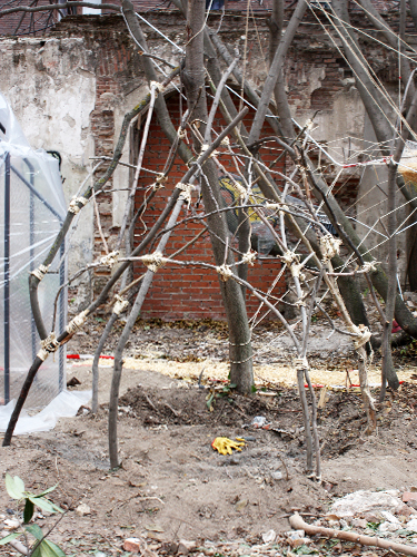 Tienda de Prada - Carolina Hernández Olmos