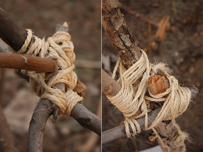Tienda de Prada - Carolina Hernández Olmos