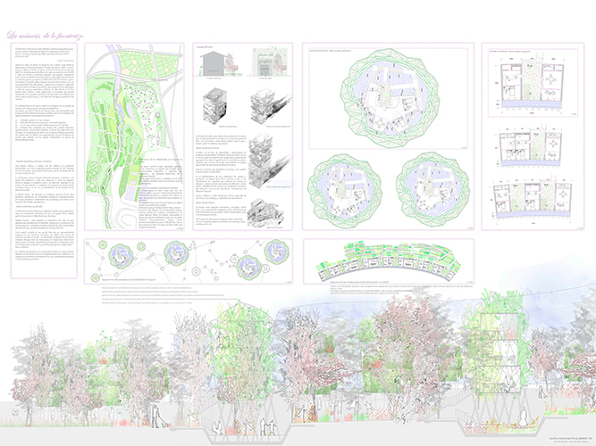 Viviendas del Futuro - Carolina Hernández Olmos